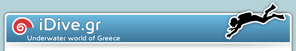 This site will help you with up to date information considering diving on the greek islands of Samos, Kos, Corfu, Rhodes, Athens, Chios and more.